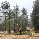 Calla: brigáda s vyřezáváním náletu kolem tůní v Pískovně u Žemličky v roce 2025; foto J. Řehounek.