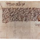 Hygiena: list krále Vladislava II. Jagellonského z 21. listopadu 1482, jímž nařídil Budějovickým udržovat v ulicích pořádek a opravit zchátralé domy; SOkA.