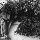 Postl Radomír: zákoutí v zahradě dominikánského konventu; podle Mě sto ČB 2013.