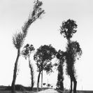 Tůma Miroslav: Cesta, 1944; archiv Michal Tůma.