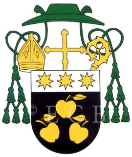 Biskupství: znak českobudějovického biskupství; podle Kadlec 1995.