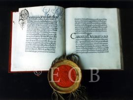 Městská privilegia: císař Leopold I. potvrzuje platnost privilegií města Českých Budějovic, listina z 1667; SOkA.