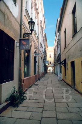 Plachého ulice: průhled Plachého ulicí k náměstí Přemysla Otakara II.; foto O. Sepp 1998.