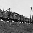 Druhá světová válka: poslední transport vězňů projíždějící českobudějovickým nádražím směrem na Velešín 8. 5. 1945; sbírka V. Vondry.