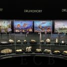 Jihočeské muzeum: stálá expozice otevřená 17. ledna 2020, přírodověda, fosilie; fotoarchiv Jihočeského muzea v Českých Budějovicích.