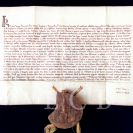 Městská privilegia: privilegium Karla IV. pro město České Budějovice z 1351; SOkA.