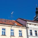 Ptáci: skupiny zdivočelých domácích holubů na střechách domů na náměstí Přemysla Otakara II.; foto P. Bürger 1998.