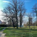 Parky a zahrady: park na nábřeží Malše, který byl původně součástí parkového areálu kolem Německého domu; foto Nebe 2021.