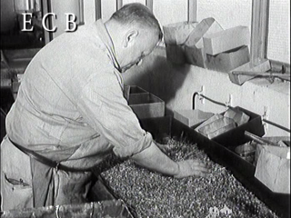 1968 – Výroba jehel v továrně IGLA České Budějovice